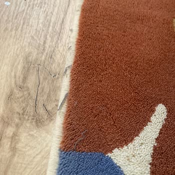 Philips 7100 Serisi Robot Süpürge: Kısa Sürede Hayal Kırıklığı Ve İade Mücadelesi