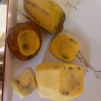 Bozuk Patateslerle Karşılaşma