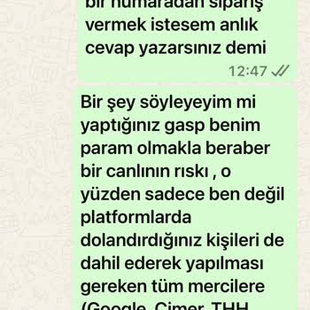 Sipariş Verdim, Ne Ürün Geldi Ne Para İadesi: Zoom Pet Mağduriyeti