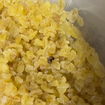 Bulgur Paketinden Böcek Çıkması Hijyen Ve Güven Sorunu