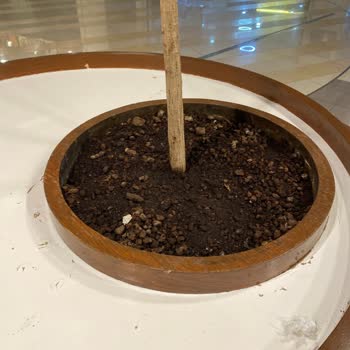 Brandium AVM-Residence Oturma Alanlarının Temizlik Sorunu