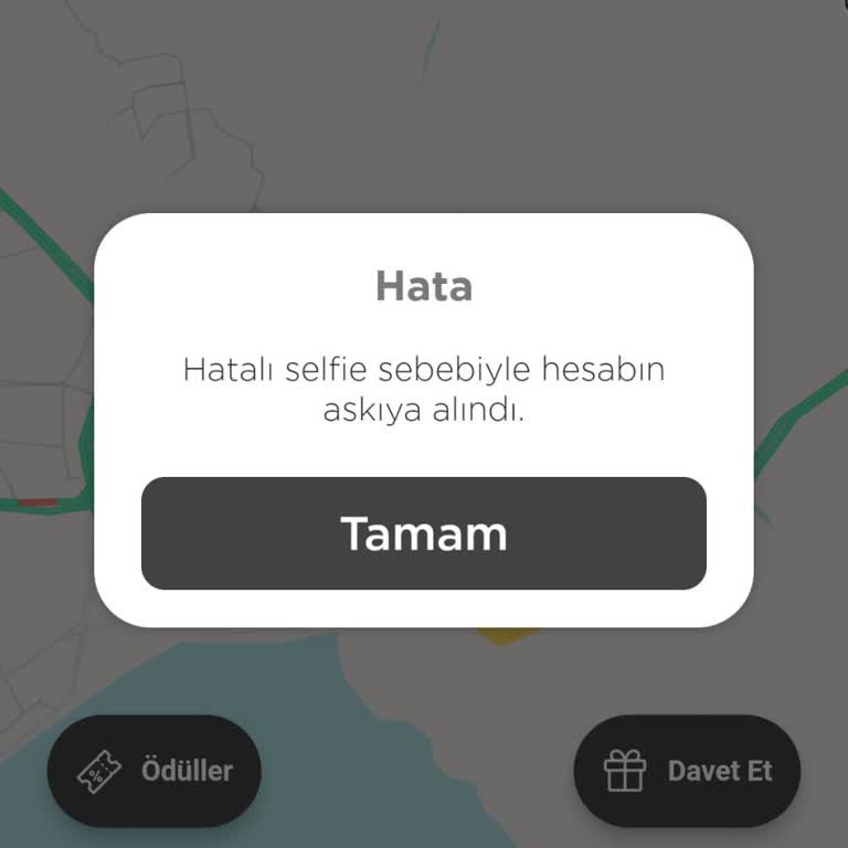 Martı Tag Sürücüsünün Selfie Çilesi: Hesap Askıya Alınma Sorunuyla Karşı Karşıya