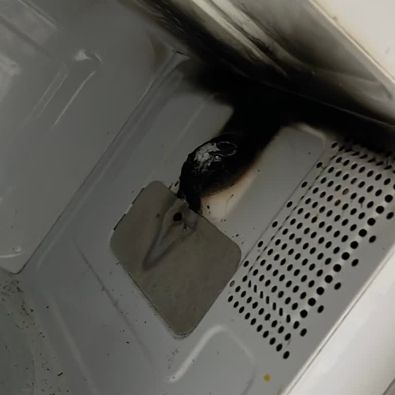 Mikrodalga Fırında Beklenmedik Yanma Sorunu