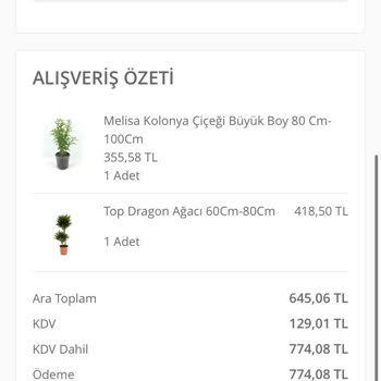 Rüzgar Botanik Yanlış Bitki Gönderimi ve İletişim Sorunu