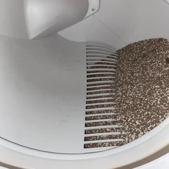 Xenon Smart Kedi Tuvaleti Hayal Kırıklığı