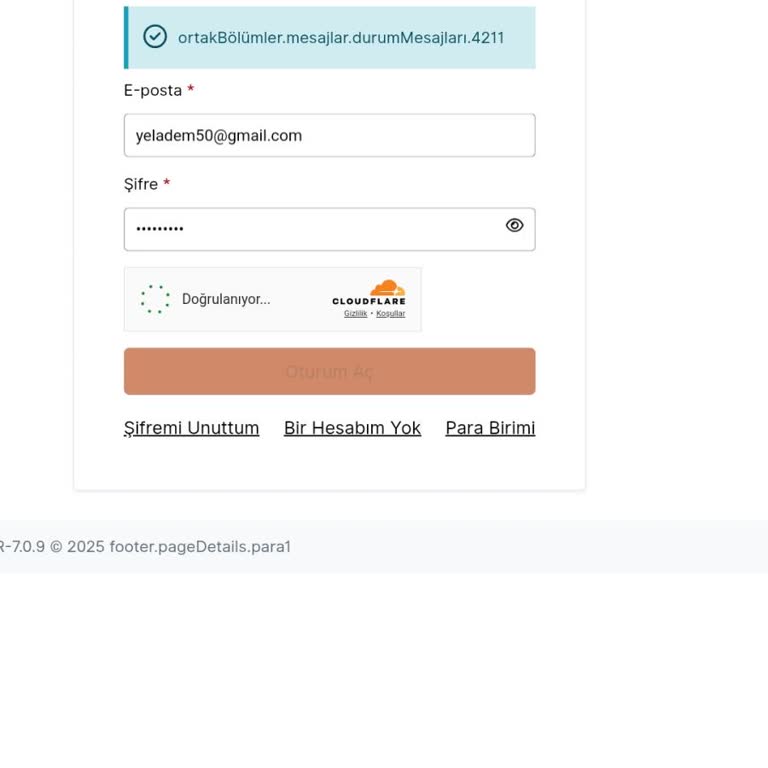 VFS Global Randevu Sistemi Hayal Kırıklığı