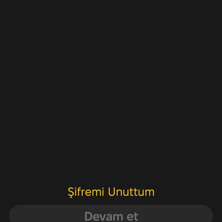 1 GB Uygulamasına Erişim Sorunu