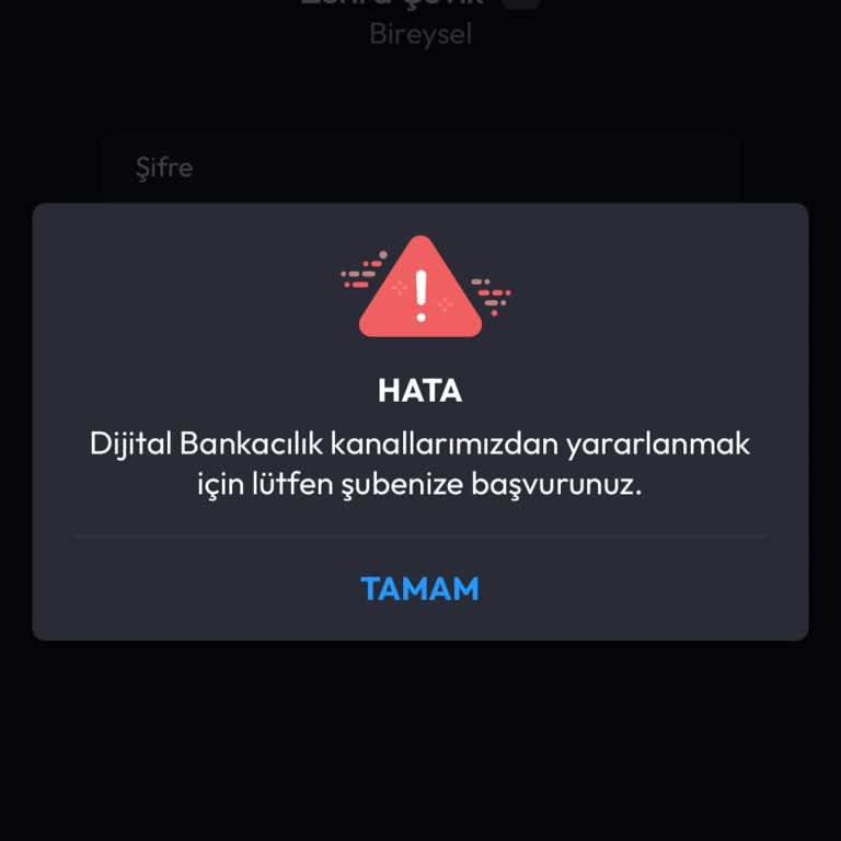 Dijital Bankacılıkta Yaşanan Erişim Sorunları Ve Mağduriyet