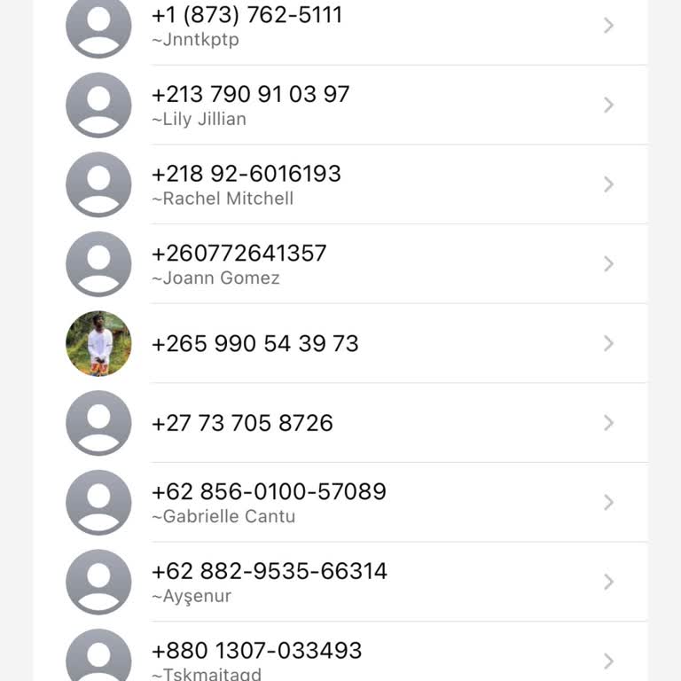WhatsApp'tan Gelen Yabancı Aramalar Ve Veri Güvenliği Sorunu