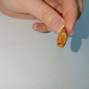 Amigo Marka Badem İçinde Şok Edici Keşif