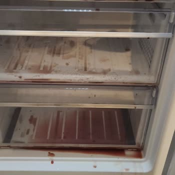 Beko Derin Dondurucu Arızası: Ürünlerimiz Ziyan Oldu