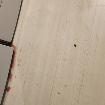 Beko Derin Dondurucu Arızası: Ürünlerimiz Ziyan Oldu