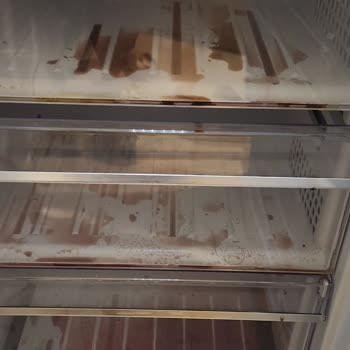 Beko Derin Dondurucu Arızası: Ürünlerimiz Ziyan Oldu