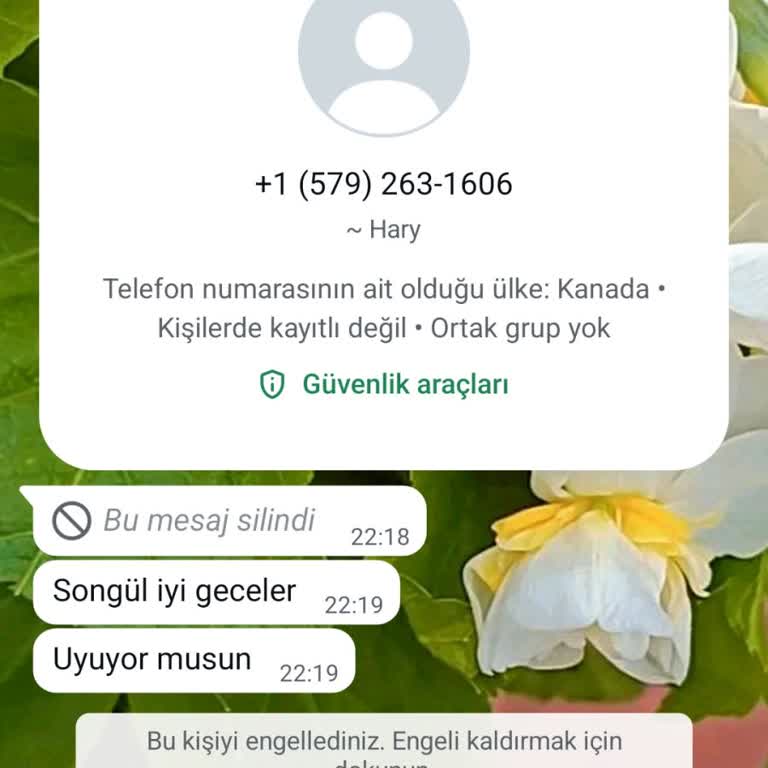 WhatsApp Üzerinden Gelen Rahatsız Edici Mesaj Ve Güvenlik Endişesi