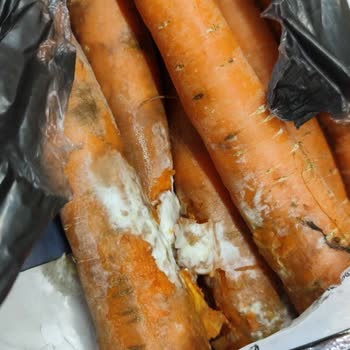 Migros Sanal Market Alışverişinde Tarihi Geçmiş Ve Bozuk Ürün Sorunu
