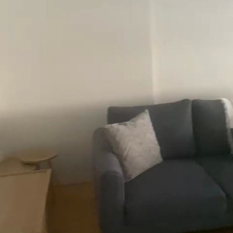 Statik Elektrik Şoku: Pati Dostu Kumaşın Düşmanlığı