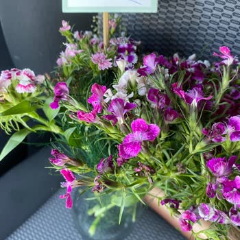 Özensiz Çiçek Teslimatı Hayal Kırıklığı Yarattı