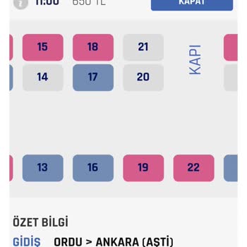 Yanlış Koltuk Numarası Ve Kötü Muamele: Obilet Ve Ali Osman Ulusoy İle Yaşanan Sorun