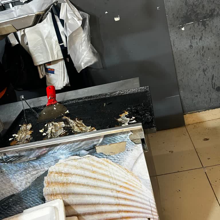 Kirli Tepsi Ve Yağsız Balıklar: Sağlığımız Tehlikede