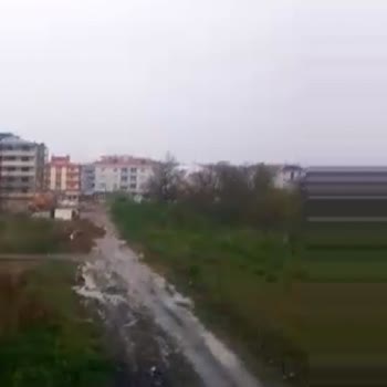 Reeder Refused to Accept Return of My Faulty S23 Pro Max Despite Ongoing Issues