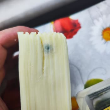 Ünal Peynircilik Marka Kaşar Peynirinde Küflenme Sorunu