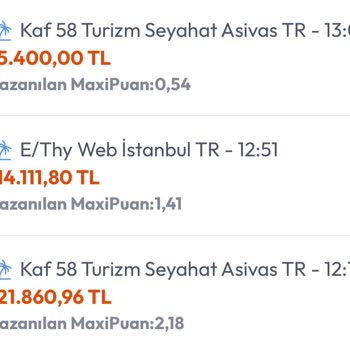 THY'den Alınamayan Biletin Bedeli Mağduriyet Yarattı