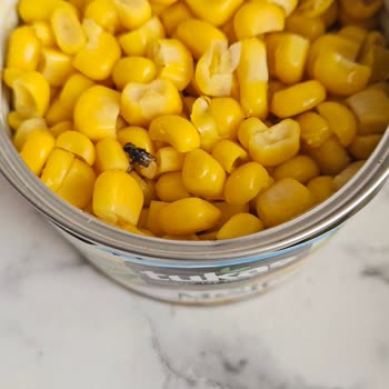 Tukaş Konservesinde Hijyen Skandalı: Sinek Şoku!