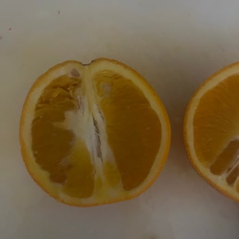 Şok Market'ten Aldığım Portakallar Hayal Kırıklığı Yarattı