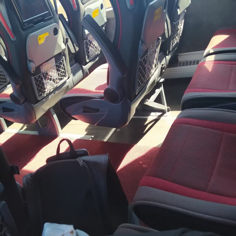 Kamil Koç İle Kedimle Kabus Gibi Yolculuk