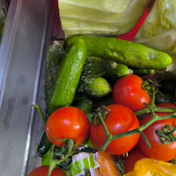 Yeni Buzdolabında Bitmeyen Soğutma Sorunu