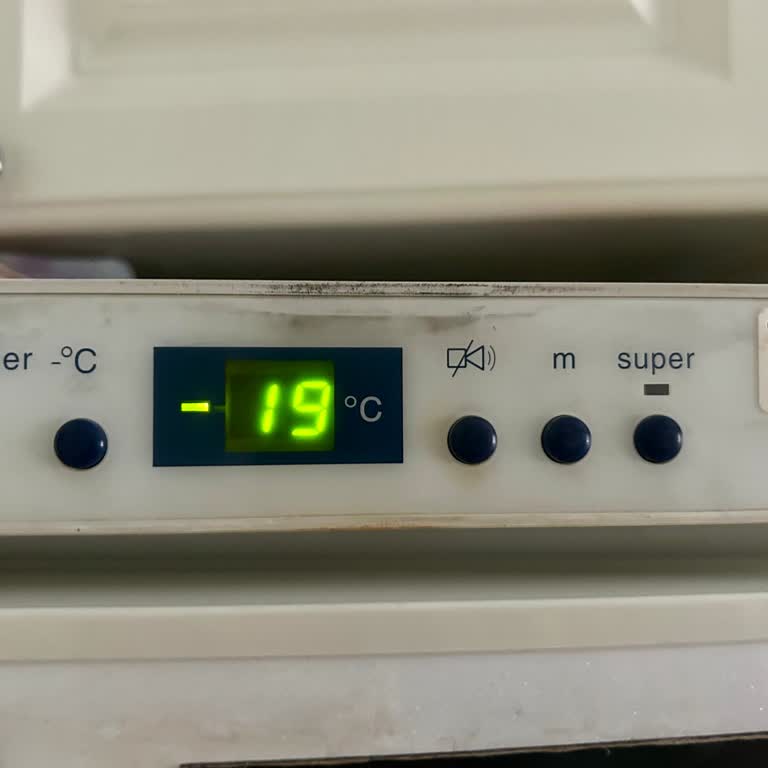 Elektrik Kesintisi Sonrası Dondurucu Sorunu