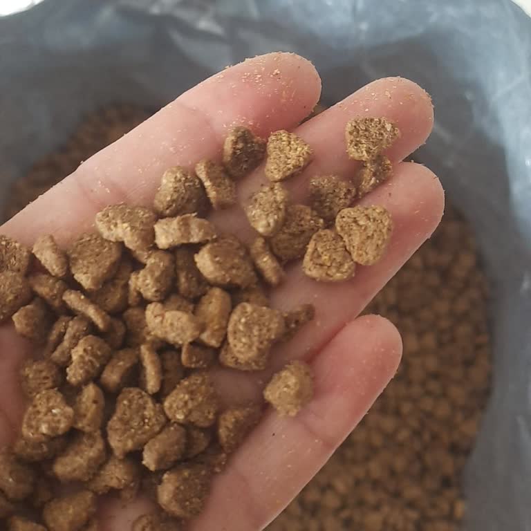 Goody Kediler Bile Yemedi: Trendyol'dan Gelen Mama Sorunu