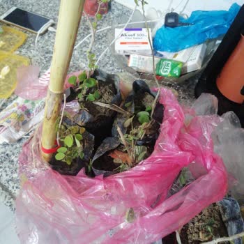 Sipariş Gecikmesi Ve İlgisiz Müşteri Hizmetleri