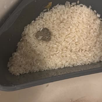 Pirincin İçinden Çıkan Şok Edici Madde!