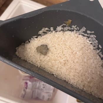 Pirincin İçinden Çıkan Şok Edici Madde!