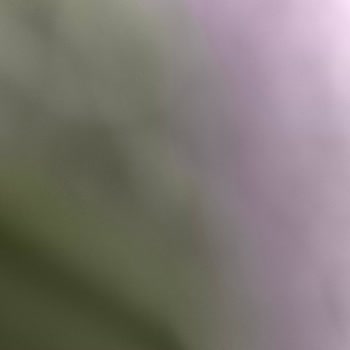 A101 Kapıda Alışverişte Eksik Sipariş Sorunu