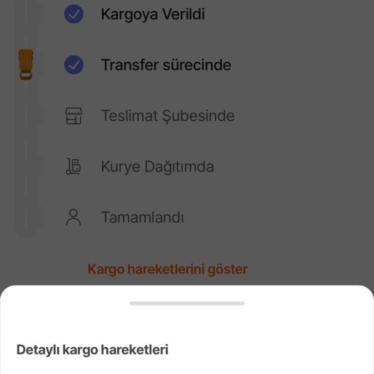 Kayıp Kargom Nerede? Cevap Bekleyen Müşteri!