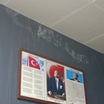 American Vip Language Schools Eğitim Kalitesizliği Ve Yönetim Eksikliğiyle Mücadele