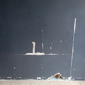 American Vip Language Schools Eğitim Kalitesizliği Ve Yönetim Eksikliğiyle Mücadele