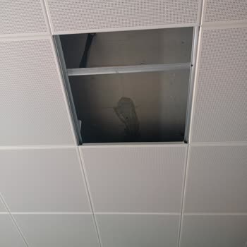 American Vip Language Schools Eğitim Kalitesizliği Ve Yönetim Eksikliğiyle Mücadele