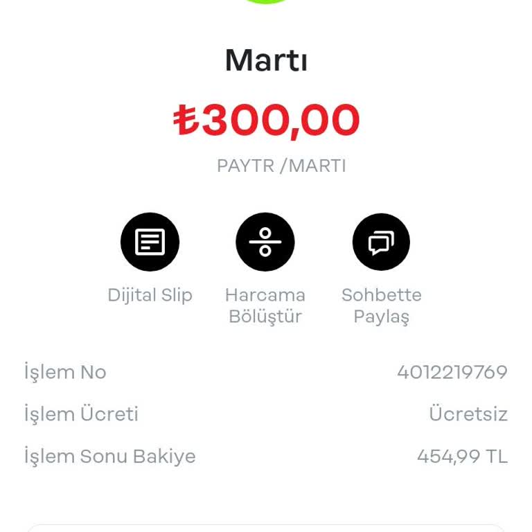 Martı'nın İade Sürecinde Yaşanan Sorunlar