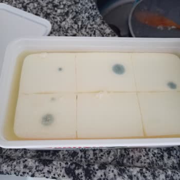 Küflü Peynir Ve İlgisiz Müşteri Hizmetleri Sorunu