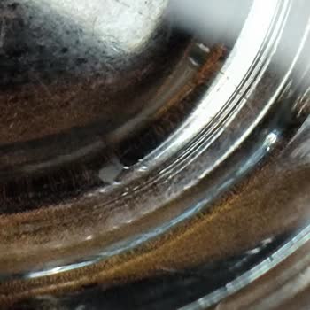 Fuska Su'da Hijyen Sorunu Ve İlgisizlik