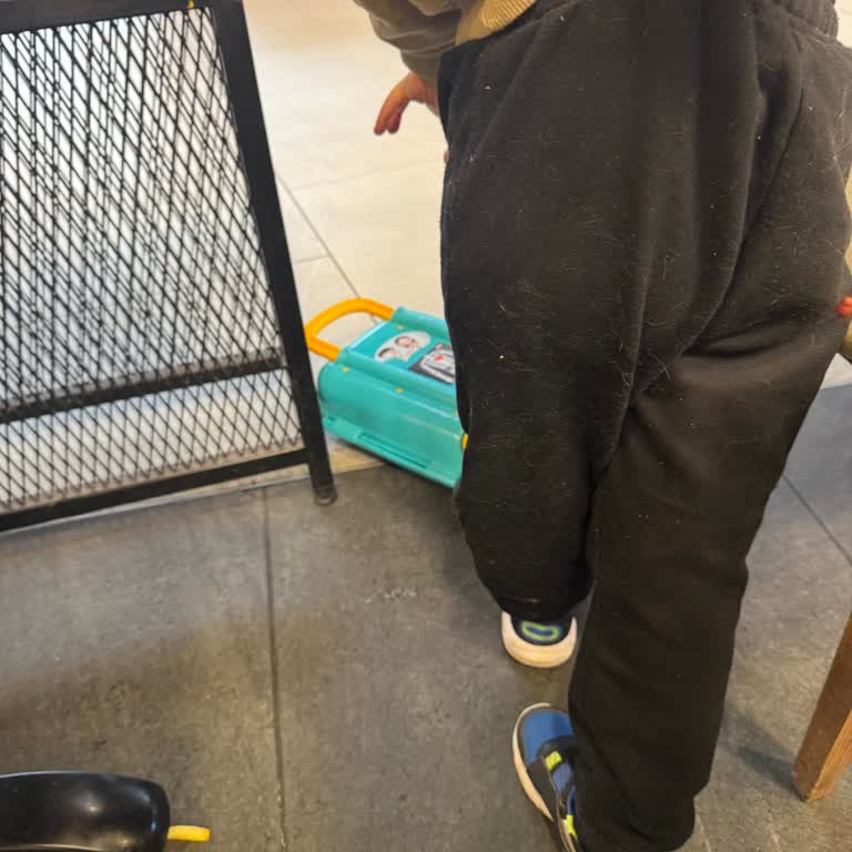 Hijyen Sorunu: Kedi Tüyleri Ve Temizlik Eksikliği