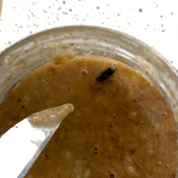 Ceviz Ezmesinden Çıkan Böcek Ve Eksik Gönderilen İncir Kekiği