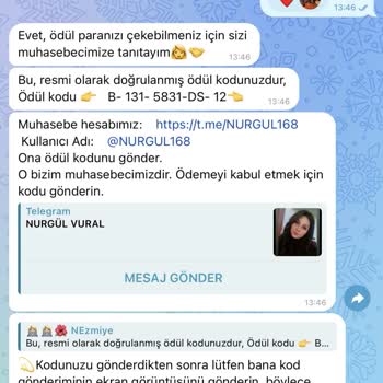 Telegram Görev Kazançları Güvenlik Endişesi