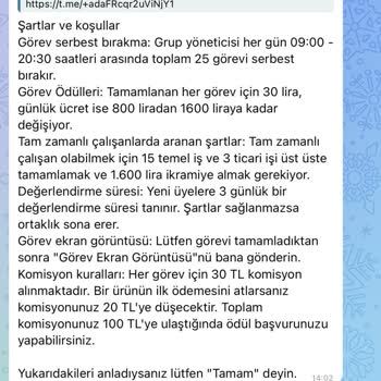 Telegram Görev Kazançları Güvenlik Endişesi