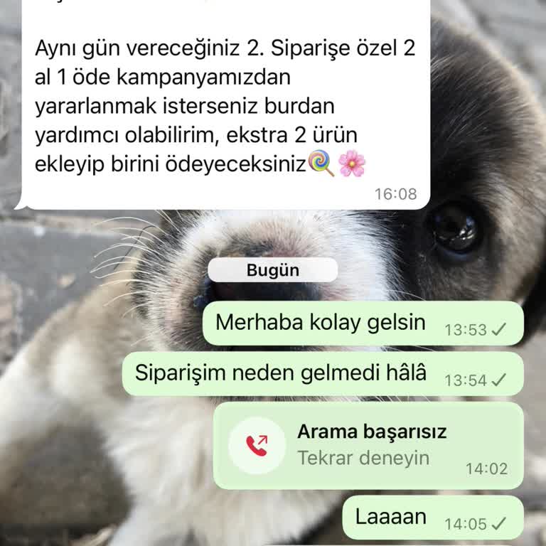 Ürün Teslim Edilmedi: Müşteri Mağduriyeti