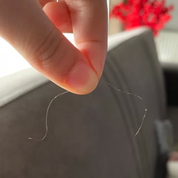 Hijyen Skandalı: Gıda Güvenliği Tehlikede!