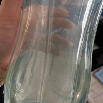 Tupperware Sulukta Beklenmedik Sararma Sorunu